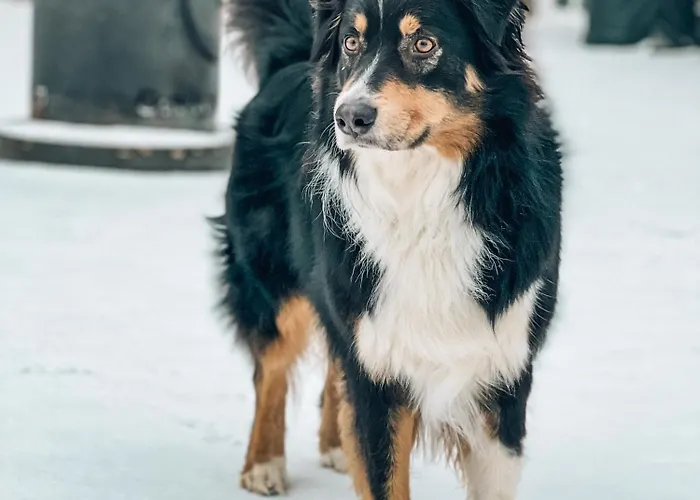 Апартаменты Eickhorst